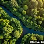 조경 기술과 드론 활용 사례 - A high-resolution aerial view captured by a drone over a lush urban park in Brazil during golden hou...