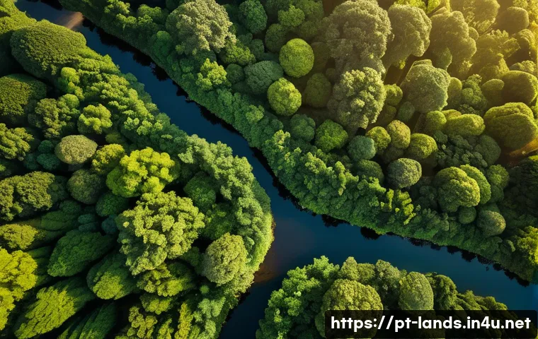 조경 기술과 드론 활용 사례 - A high-resolution aerial view captured by a drone over a lush urban park in Brazil during golden hou...